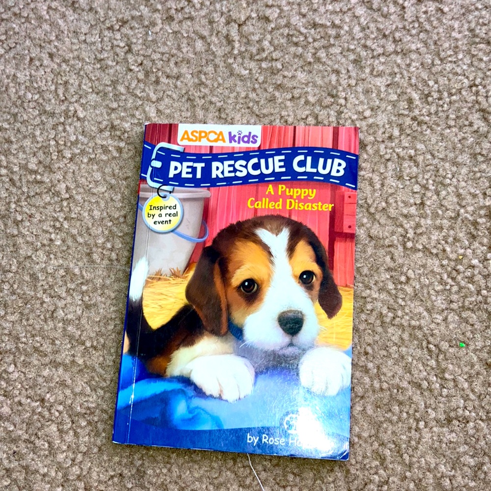 Kids chapter Book